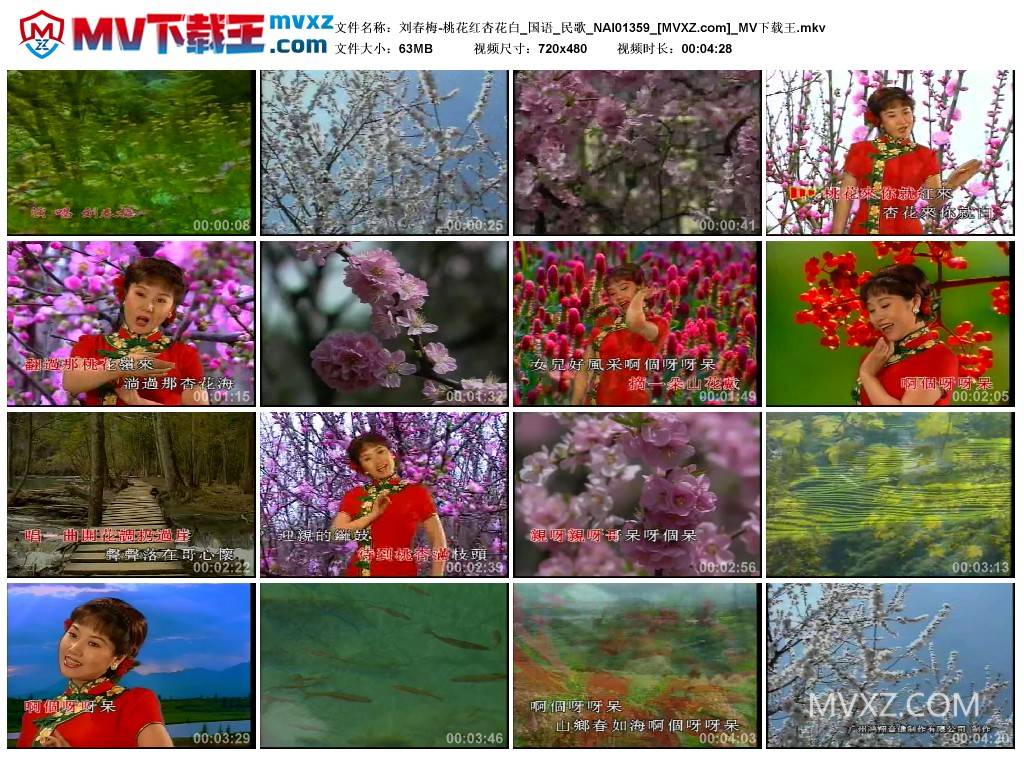 刘春梅-桃花红杏花白_国语_民歌_NAI01359